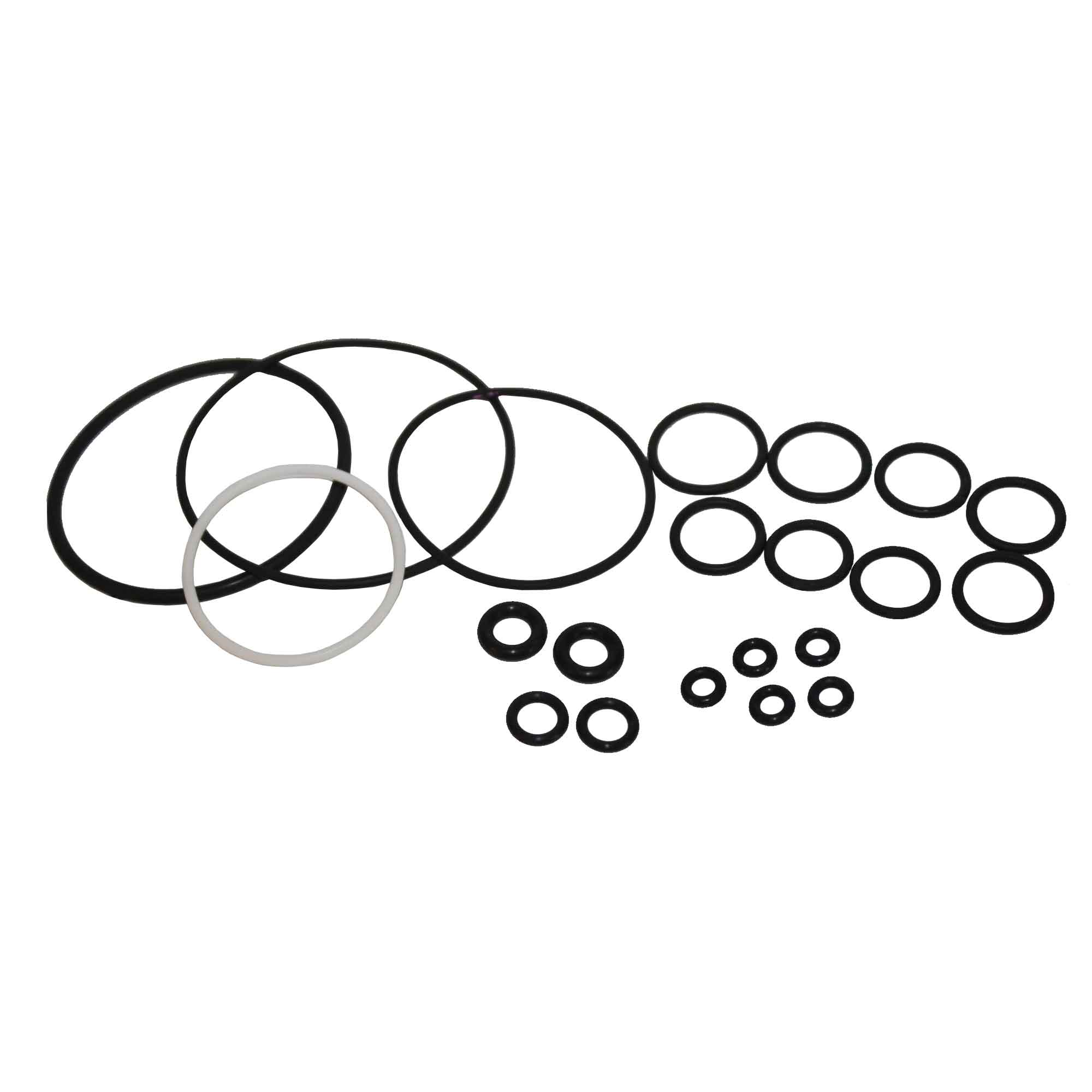 246355 - Complete O-Ring Repair Kit - PURspray